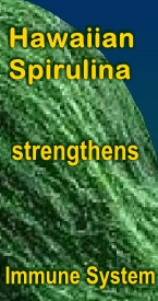 Ormus Minerals Hawaiian Spirulina strengthens Immune System Ormus Minerals Hawaiian Spirulina strengthens Immune System