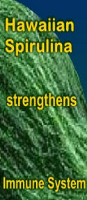 Ormus Minerals Hawaiian Spirulina strengthens Immune System Ormus Minerals Hawaiian Spirulina strengthens Immune System