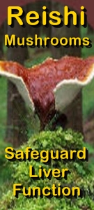 Ormus Minerals Reishi Mushrooms safeguard liver function Ormus Minerals Reishi Mushrooms safeguard liver function